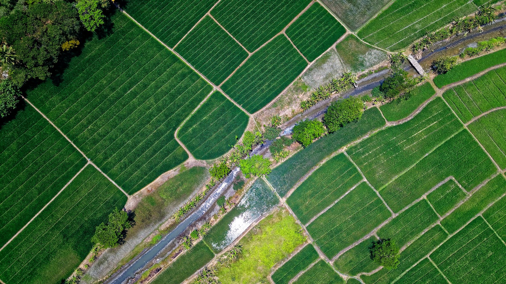Vista aérea del campo con un río atravesando el lote.